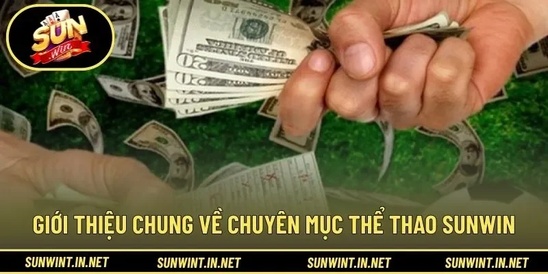 Giới thiệu chung về chuyên mục thể thao SUNWIN