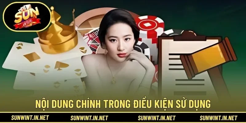 Nội dung chính trong điều kiện sử dụng áp dụng chung
