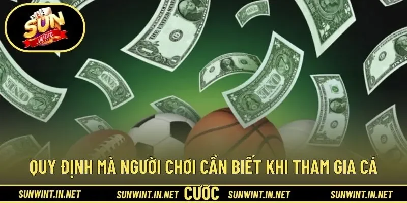 Quy định mà người chơi cần biết khi tham gia cá cược 